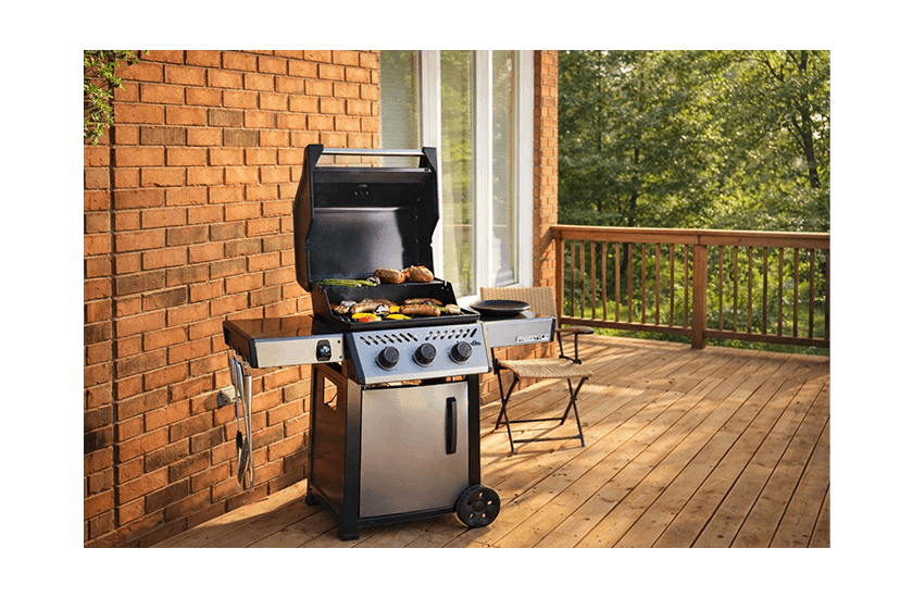 BBQ FREESTYLE 365 DE NAPOLEON