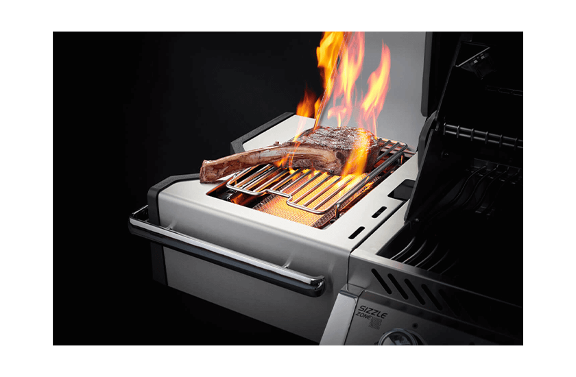 BBQ Prestige Pro 500 de Napoleon