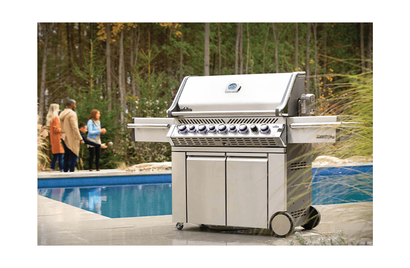 PRESTIGE PRO 665 RSIB de Napoleon